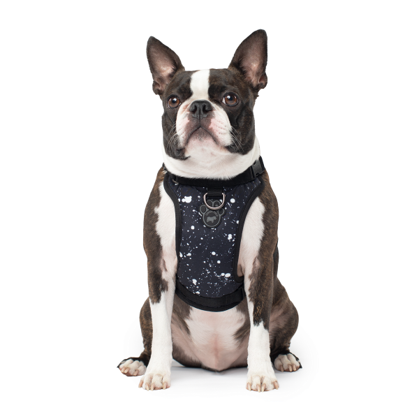 Canada Pooch The Everything Water-Resistant Dog Harness, Splatter, Small (Size: Small)