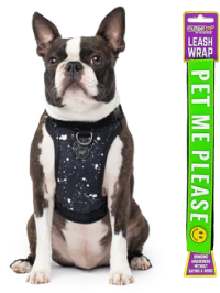 Dog Leash & Harness