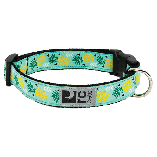 RC Pets Clip Dog Collar, Pineapple, Medium (Size: Medium)