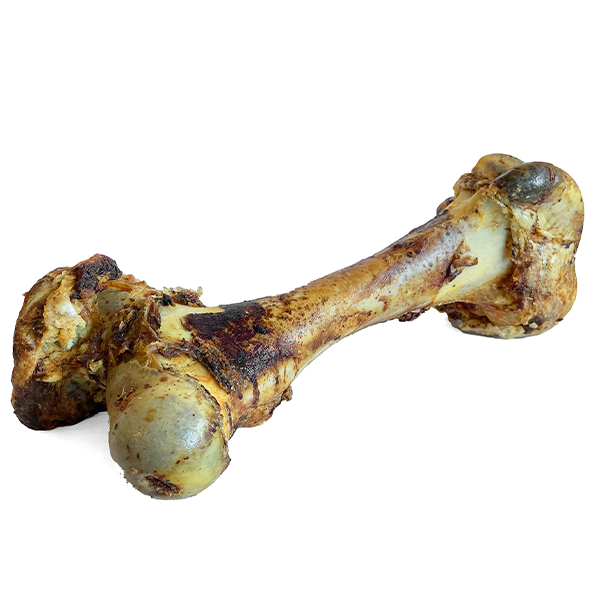 Home Range/Open Range Cured Dino Bone Bully Stick Dog Treats