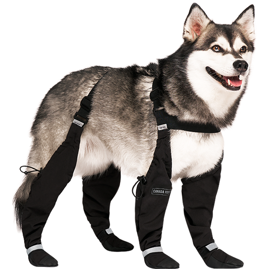 Canada Pooch Suspender Boots Black Size 3 Short.