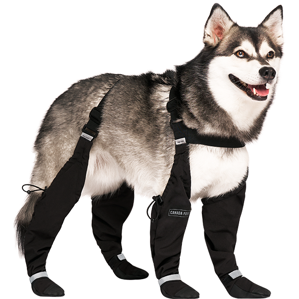 Canada Pooch Suspander Boots Black Size 1 Long.