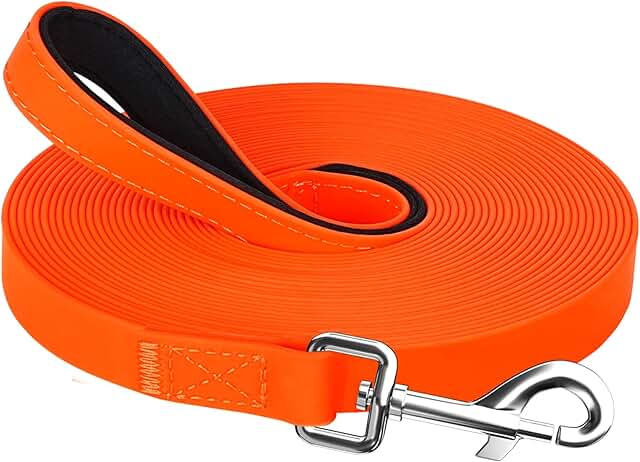 Rogz Lumberjack Dog Lead, Blue, 1-in x 6-ft (Size: 1-in x 6-ft)