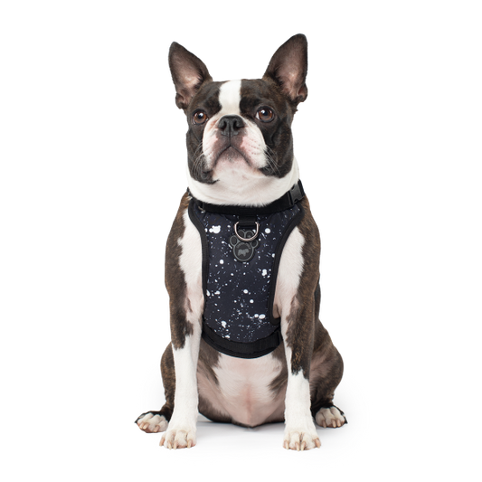 Canada Pooch The Everything Water-Resistant Dog Harness, Splatter, Small (Size: Small)