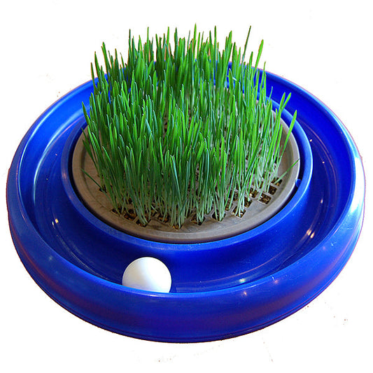 Turbo Scratcher Cat Grass