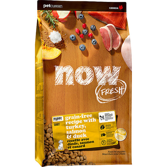 Now Fresh Puppy Recipe Grain-Free Dry Dog Food, 22-lb (Size: 22-lb)