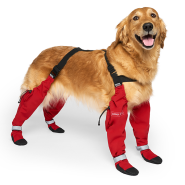 Canada Pooch Suspender Boots Red Size1 Long.