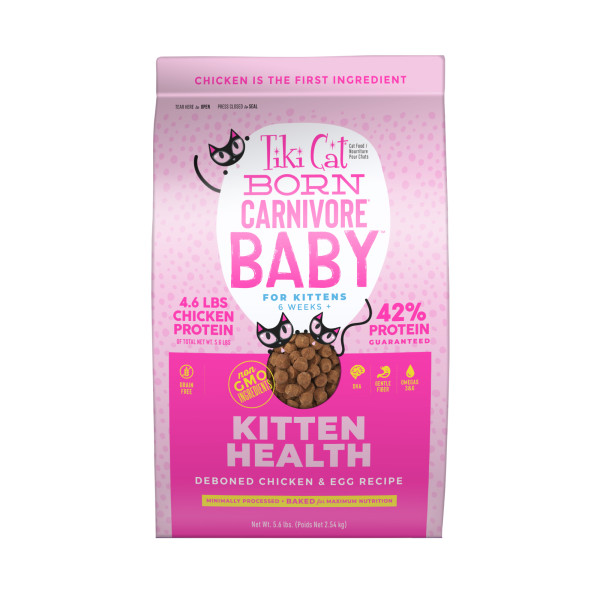 Tiki Cat Born Carnivore Baby Chicken & Egg Non-GMO Kitten Dry Cat Food, 5.6-lb (Size: 5.6-lb)