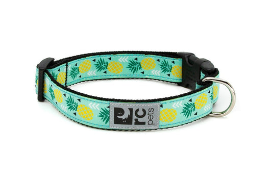 RC Pets Clip Dog Collar, Pineapple, Large (Size: Large)