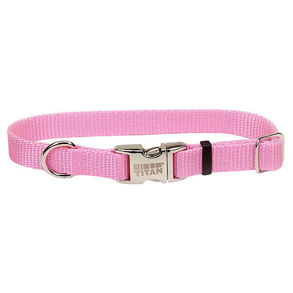Coastal Adjustable Collar with Metal Buckle for Dogs, Pink Bright, 1-in x 14-20-in (Size: 1-in x 14-20-in)