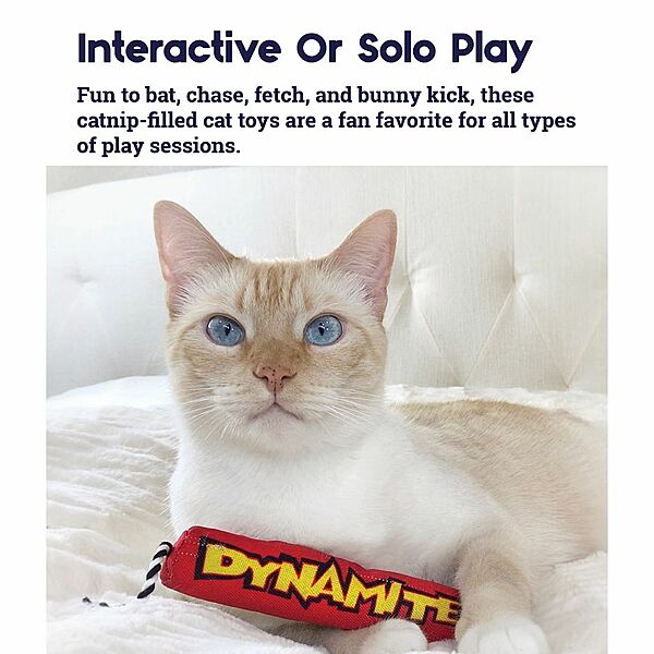 Petstages Green Magic Dynamite Stick Cat Toy, Red