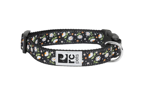 RC Pets Clip Dog Collar, Daisies, Large (Size: Large)