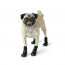 GF - PET Elasto - Fit Boots M.